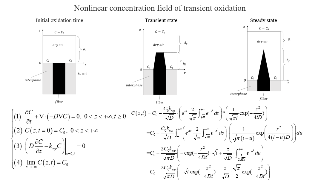 Nonlinear concentration field of transient oxidation